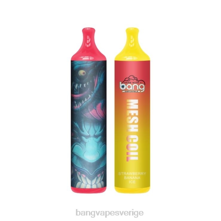 Bang Disposable Vape Review - Bang Vape mesh coil 3500 puffar 2% nic disponibel V4FN07