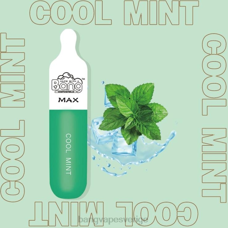Bang Vape Review - Bang Vape Max 5000 puff bar disponibel V4FN010