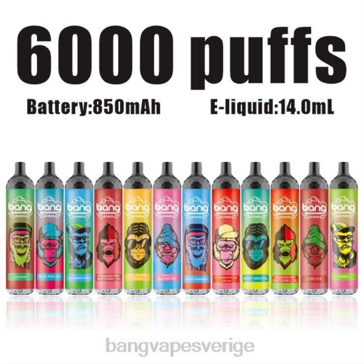 Bang Vape Shop - Bang Vape King 6000 puffar 5% nic uppladdningsbar typ-c disponibel V4FN08