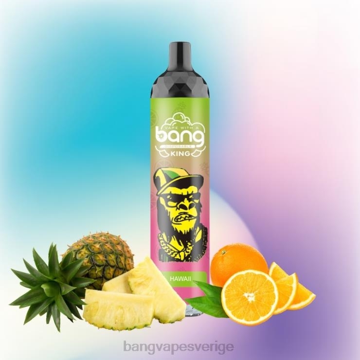Bang Vape Shop - Bang Vape King 6000 puffar 5% nic uppladdningsbar typ-c disponibel V4FN08