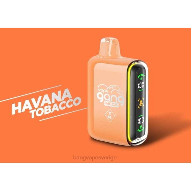 Vape Gang Disposable - Vape Gang MEGA 20 000 puffar engångsvape (förpackning med 5) havana tobak V4FN055