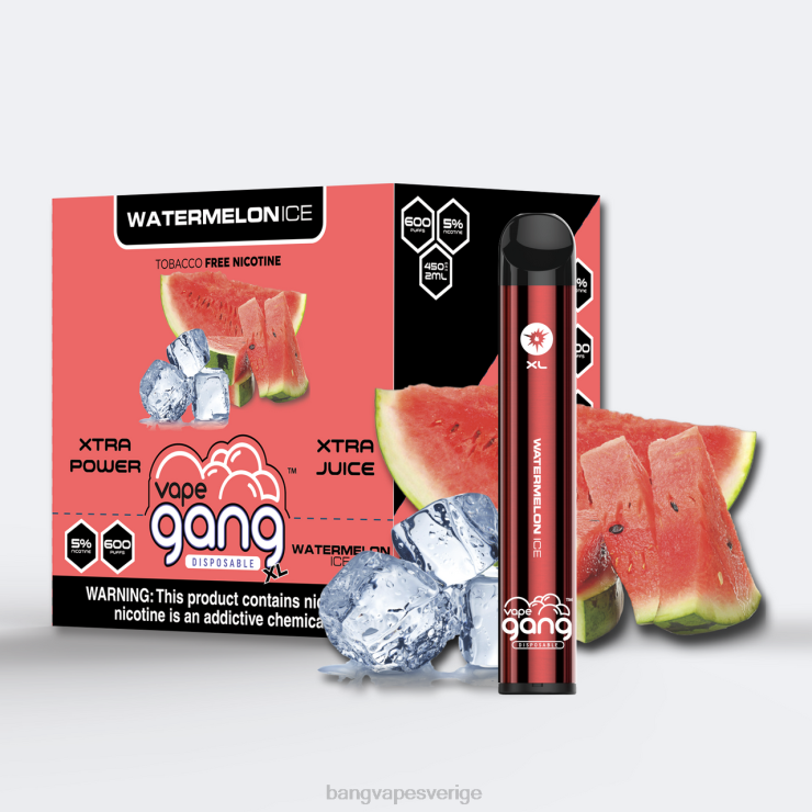 Bang Disposable Vape - Vape Gang XL engångsvapor 600 puffar (kartong med 10) vattenmelon is V4FN076