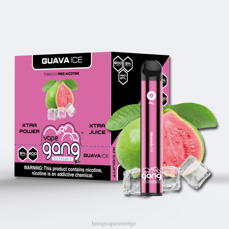 Bang Vape Review - Vape Gang XL engångsvapor 600 puffar (kartong med 10) guava is V4FN072