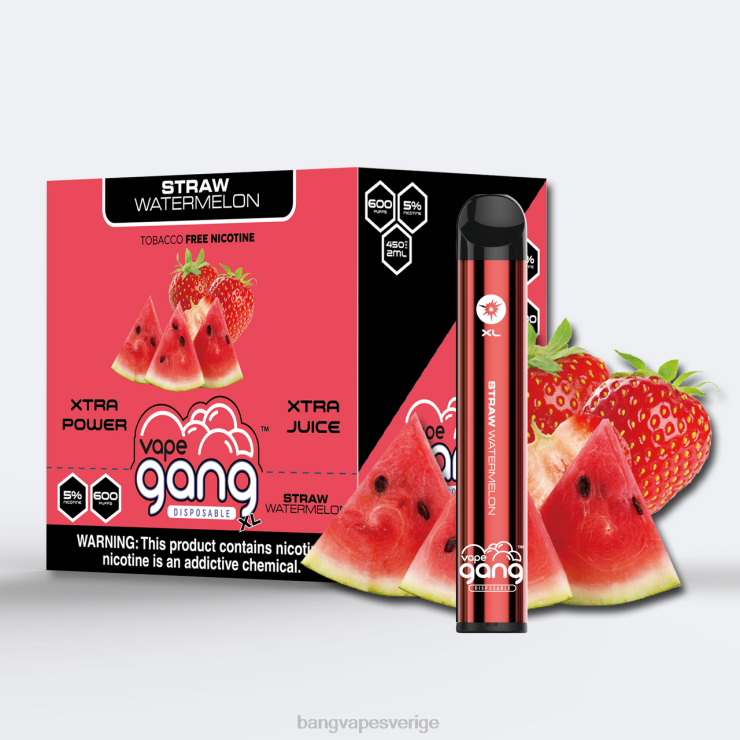 Vape Gang Stockholm - Vape Gang XL engångsvapor 600 puffar (kartong med 10) halm vattenmelon V4FN074